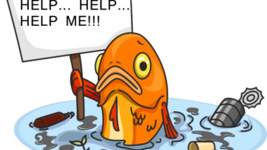 Photo of Sungai Tercemar Limbah Akibatkan Ikan Jadi Bencong