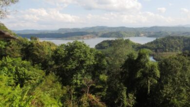 Photo of Dampak Positif  Kebijakan Perhutanan Sosial terhadap Kesejahteraan Petani Miskin di Jawa