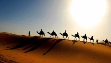 Photo of Kesejahteraan Kristen Koptik saat Muslim Taklukkan Mesir