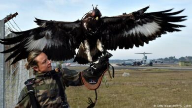 Photo of 7 Fakta Armada Elang Militer Perancis: Untuk Memburu Pesawat Tanpa Awak