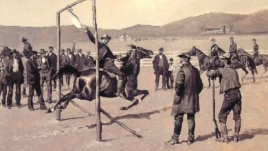 Photo of Tradisi Paling Sadis Yang Dilakukan Terhadap Hewan