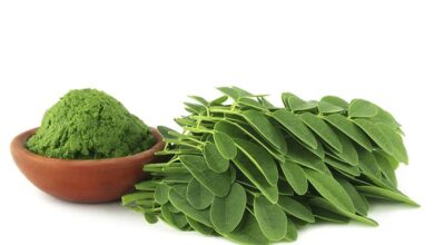 Photo of Manfaat Daun Kelor, Si Daun Hijau Ajaib