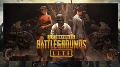 Photo of Untuk PC Spesifikasi Rendah, Ini Cara Download PUBG Lite