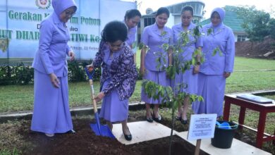 Photo of Dharma Pertiwi Gelar Gerakan Menanam Pohon