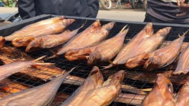 Photo of Mengintip Proses Pembuatan Ikan Salai, Favorit Pelancong