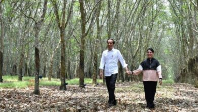 Photo of Romantisme ‘Winter Sonata’ ala Jokowi-Iriana di Kebun Karet