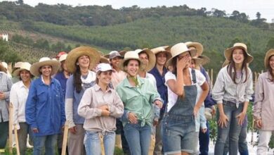 Photo of Di Kota ini, Para Wanita Haus Laki-laki