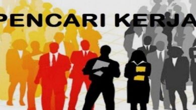 Photo of Buruan Daftar, Sudah 104.000 Orang Pelamar Mendaftar ke BUMN