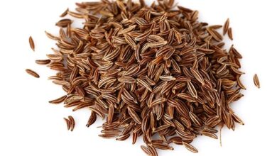 Photo of Obat Keracunan Makanan Ternyata Dapat Ditemukan di Sekitar Anda