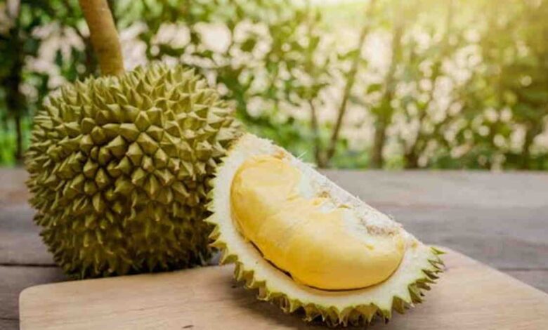 Durian Indonesia