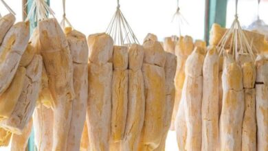 Photo of Tape Singkong Diklaim Mampu Obati Ambeien