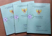 Photo of Tak Perlu ke Kantor BPN, Begini Cara Cek Keaslian Sertifikat Tanah Digital dari Rumah