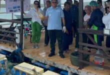 Photo of Perkuat Ekonomi Biru, Gubernur Melki Tinjau Budidaya Laut di Pulau Semau dan Dorong Rantai Nilai Perikanan