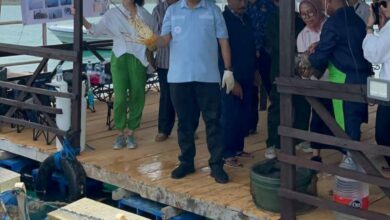 Photo of Perkuat Ekonomi Biru, Gubernur Melki Tinjau Budidaya Laut di Pulau Semau dan Dorong Rantai Nilai Perikanan