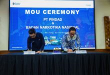Photo of BNN dan PT Pindad Sinergi Kuatkan P4GN Lewat Kerja Sama Strategis
