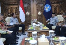 Photo of BNN dan Kemendikdasmen Bersinergi, Kurikulum Antinarkoba “IKAN BERSINAR” Siap Masuk Sekolah Mulai PAUD hingga SMA