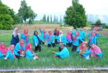 Photo of Lestarikan Varietas Lokal, PKK Kota Tidore Panen Perdana Bawang Merah Topo Hasil Binaan Kelompok Tani