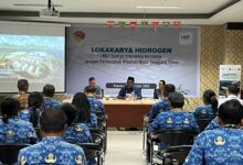 Photo of Gubernur Melki Laka Lena Tegaskan NTT Siap Jadi Pionir Hidrogen Hijau Pertama di Asia
