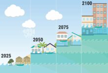 Photo of Peringatan Dini Rob Jakarta Utara, Waspada Pasang Maksimum Hingga 10 Desember