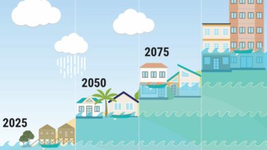 Photo of Peringatan Dini Rob Jakarta Utara, Waspada Pasang Maksimum Hingga 10 Desember