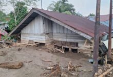 Photo of Kisah Hidup dan Mati Perjuangan Dramatis Warga Desa Blang Cut yang Terkubur Lumpur Banjir Bandang Pidie Jaya