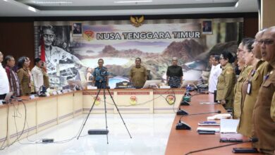 Photo of Pemprov NTT dan Kementerian P2MI Perkuat Perlindungan PMI dari Hulu ke Hilir