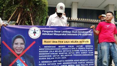 Photo of DPP NasDem Didesak Pecat dan PAW Anggota DPR RI Lola Nelria Oktavia, Ada Apa?