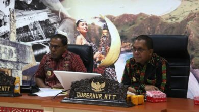 Photo of Gubernur Melki Laka Lena Matangkan Konsep Free Trade Zone Indonesia–Timor-Leste